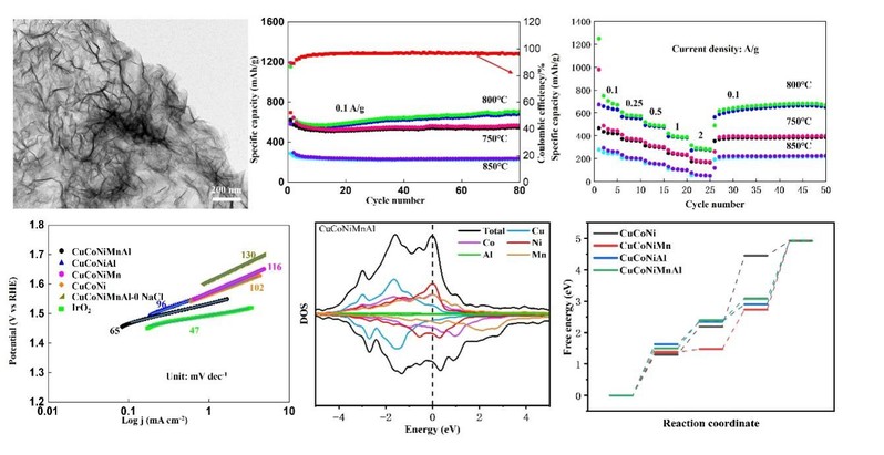 朱星群博士/宋明副教授Jour...
