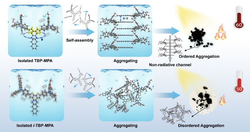 孙华博士、王士凡副教授等Che...