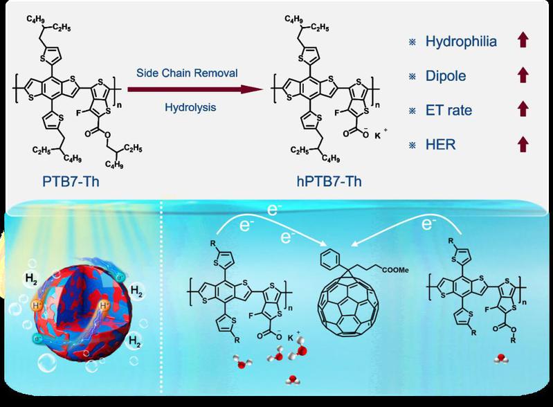 谭文轶教授、孙华博士等Ange...