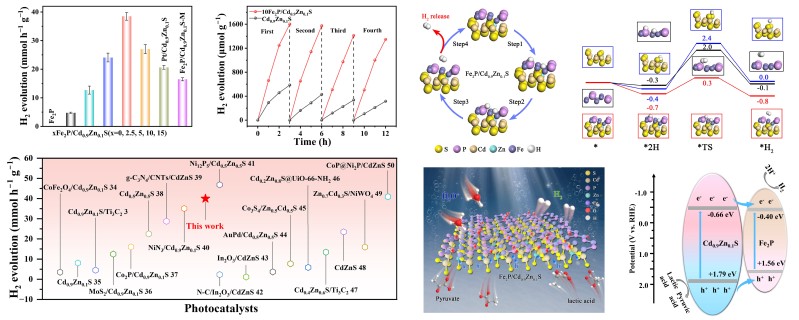韩燕玲博士/刘园园博士/王鹏副...