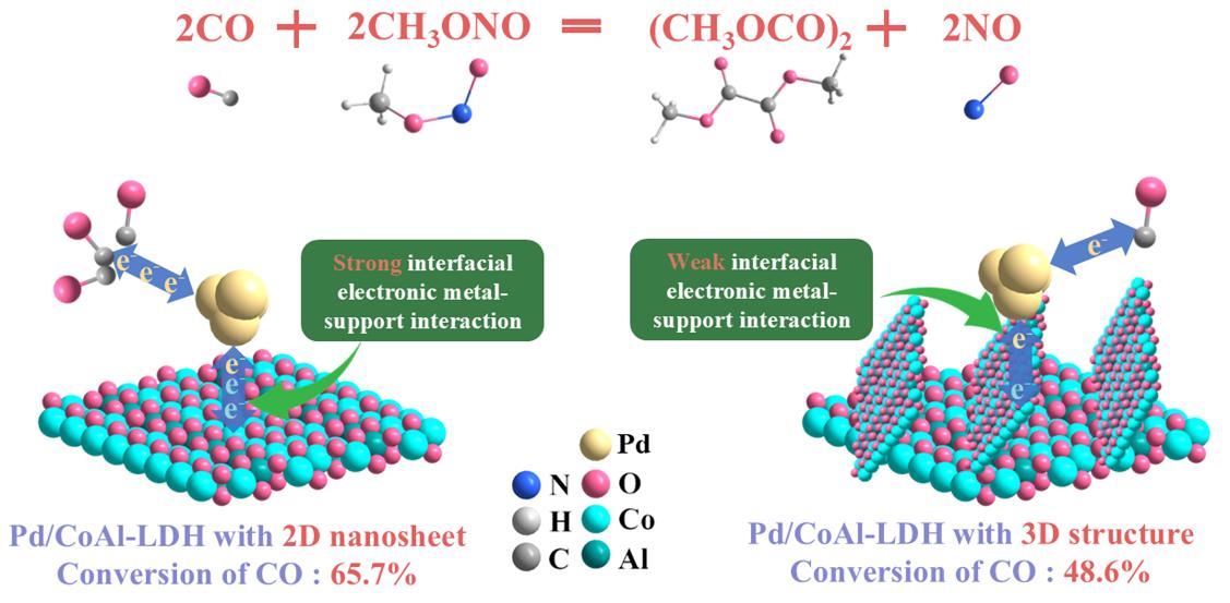 荆凯强副教授Applied C...